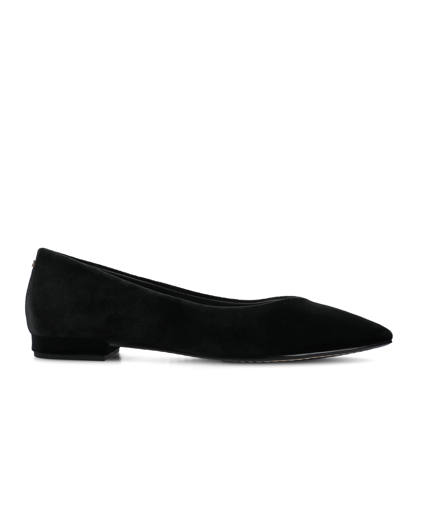The Goldfinch 15 - Black Velvet - Image 5