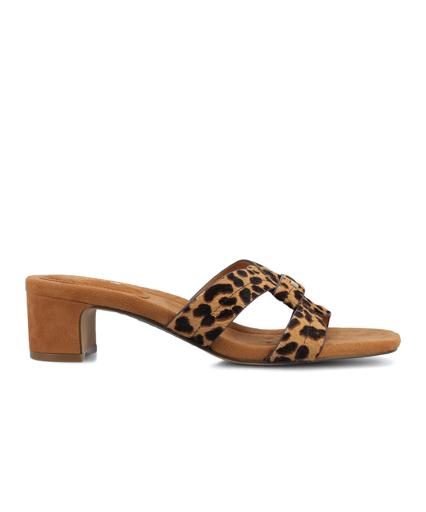 The Kiwi 40 Icon - Leopard Haircalf - Image 2