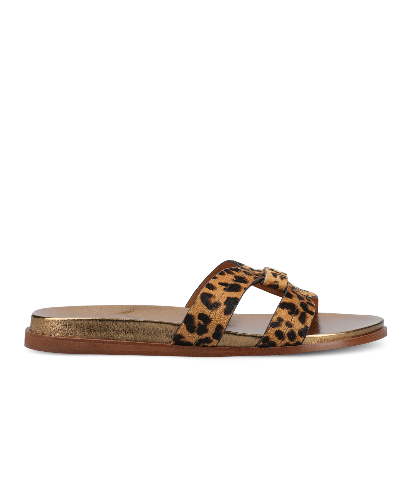 The Sunbird Icon - Leopardprint Haircalf - Image 5